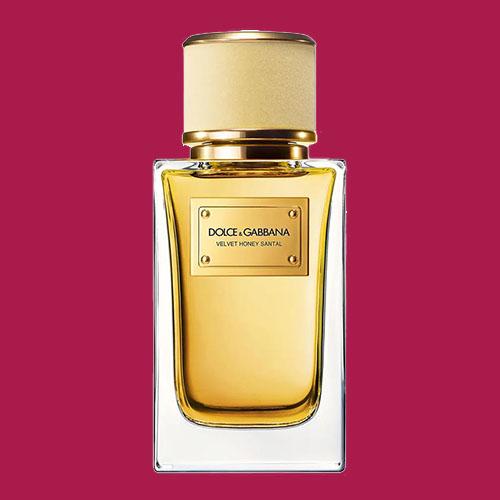 2.D&G- Velvet honey santal edp-icon