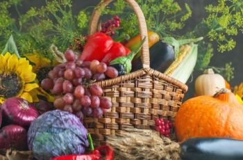 Takasago Global Flavor Trend Taste Mosaic