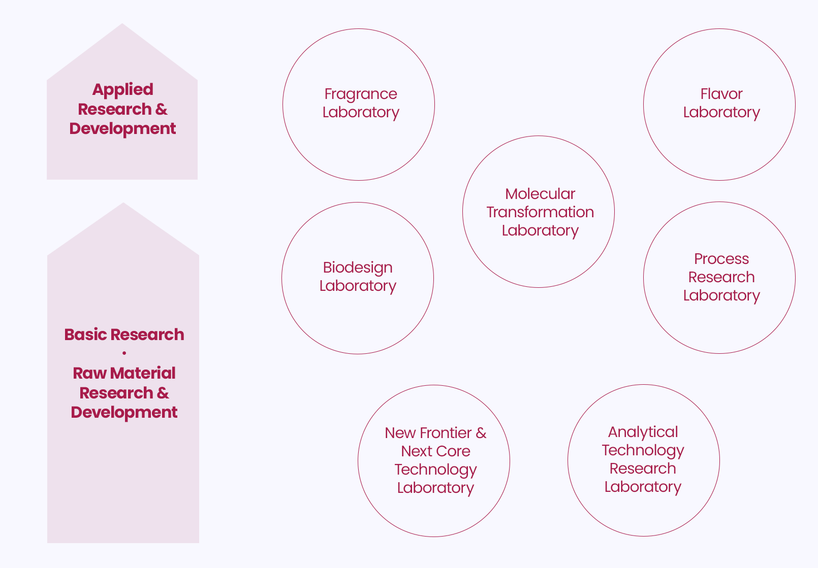 R&D Structure